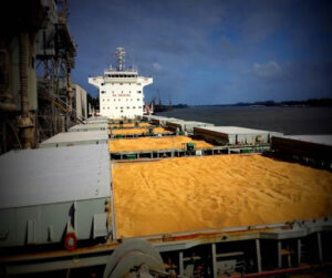 fumigation bul grain